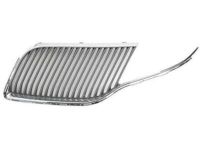 Ford DE9Z-8200-BA Grille, Driver Side
