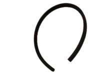 Ford F5UZ-1525325-AB Front Weatherstrip, Center