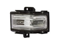 Ford FL3Z-13B374-CA Lamp Assembly, Center Passenger Side
