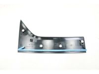 Ford DT1Z-1720938-BA Front Molding, Passenger Side