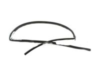 Ford Crown Victoria Weather Strip - XW7Z-5451823-AA Weatherstrip, Driver Side