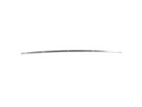 Ford 4L3Z-1551700-AA Drip Molding, Passenger Side