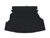 Ford BR3Z-6313046-AB Carpet, Rear