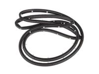 Ford CJ5Z-7820530-A Door Weatherstrip, Front Outer Passenger Side