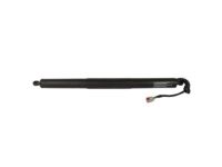 Ford FT4Z-14B351-A Lift Motor, Driver Side