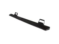 Ford FL3Z-16450-AA Step Assembly, Passenger Side