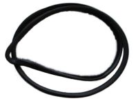 Ford BE8Z-5825325-A Weatherstrip On Body, Rear Inner Driver Side