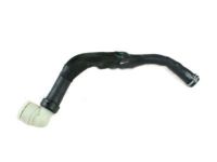 Ford CV6Z-8260-N Upper Hose, Lower