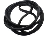 Ford CK4Z-61404A06-C Surround Weatherstrip, Rear Inner Passenger Side