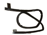 Ford 6C3Z-2551222-A Weatherstrip, Passenger Side