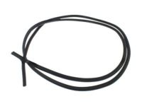 Lincoln Town Car Weather Strip - 5W1Z-5420709-AA Weatherstrip On Body, Camel, Driver Side