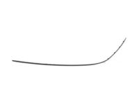 Ford 4L3Z-1603136-AA Side Molding, Front Passenger Side