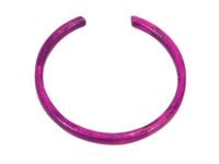 Ford 7T4Z-4B422-A Axle Assembly Retainer Clip, Inner Passenger Side