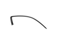 Ford CR3Z-6351238-A Upper Weatherstrip Retainer, Passenger Side