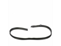 Ford 5L3Z-1851222-AA Weatherstrip, Passenger Side
