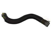 Ford 9L8Z-8286-B Lower Hose