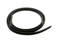 Ford 5C3Z-2625324-AA Weatherstrip On Body, Rear Inner