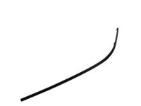Ford 4L3Z-1503137-AA Side Molding, Driver Side