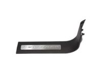 Ford DB5Z-7813208-AC Scuff Plate, Front Passenger Side