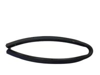 Ford FA1Z-5820759-B Lower Weatherstrip, Driver Side