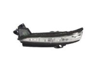 Ford DS7Z-13B375-A Signal Lamp, Front Driver Side