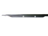 Ford 1F1Z-5421453-AA Belt Weatherstrip, Driver Side
