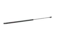 Ford FA1Z-16C826-C Lift Cylinder, Passenger Side
