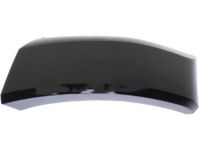 Ford HC3Z-16038-BPTM End Cap Molding, Front Passenger Side