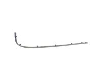 Ford 3W1Z-17C830-BA Molding Strip, Driver Side