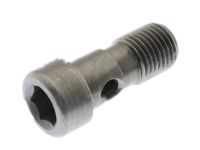 Ford -W718721-S900 Water Outlet Hose Bolt, Lower