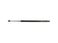 Ford 8A8Z-16C826-B Lift Cylinder, Driver Side
