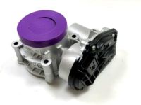 Ford 9L8Z-9E926-A Throttle Body And Motor Assembly