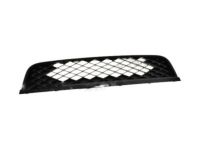 Ford AR3Z-17K945-AA Lower Grille, Front