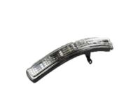 Ford BB5Z-13B375-A Signal Lamp, Driver Side