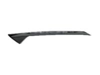 Ford BB5Z-7803145-AA Pillar Molding, Front Outer Driver Side