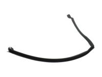 Ford FT4Z-5828125-C Rear Weatherstrip, Driver Side
