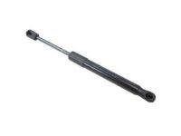 Ford 5G1Z-54406A10-AA Lift Cylinder, Rear