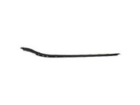 Ford AM5Z-5803179-A Pillar Molding Retainer Strip, Driver Side