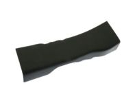 Ford BE8Z-5413228-AB Rear Sill Plate, Charcoal, Passenger Side