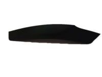 Ford FB5Z-17626-DA Valance, Front Driver Side
