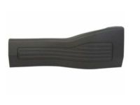 Ford BB5Z-7813229-AA Scuff Plate, Charcoal, Rear Driver Side