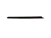 Ford 5L3Z-84291A40-AAA Upper Molding, Carbon Black, Rear Passenger Side