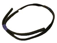 Ford CV6Z-58253A11-A Weatherstrip - Door Opening, Driver Side