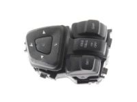 Ford BT4Z-9C888-BB Cruise Switch, Driver Side