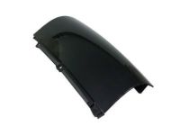Ford BA8Z-74290A60-A Applique, Rear Passenger Side