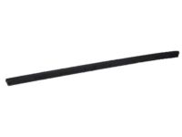 Ford FR3Z-16A239-C Side Seal, Front Driver Side