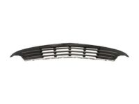 Ford DE9Z-17K945-AA Bumper Grille, Front Lower