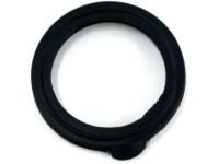 Ford YF1Z-6C527-AA Gasket - Spark Plug Aperture