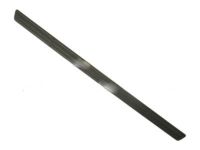 Ford 4L3Z-16490-BA Step Pad