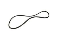 Ford 5G1Z-54253A10-AA Weatherstrip On Body, Rear Passenger Side